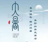 GREE格力美图|今日大暑|荷阴斜合翠,莲影对分红
