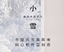 GREE格力家装暖冬惠|小雪时节 久雨重阳后 清寒小雪前
